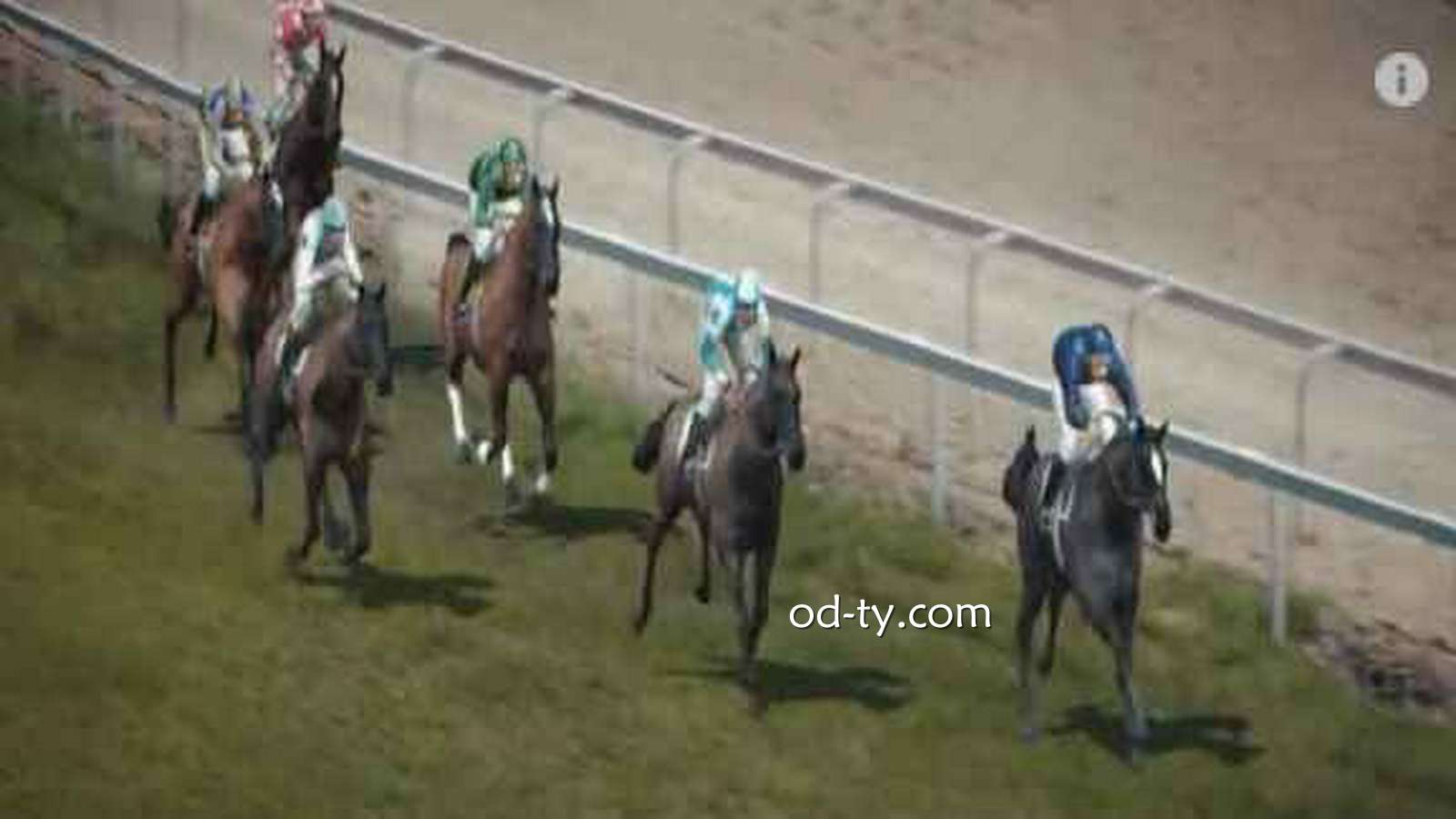 MC体育VR赛马诸诸啥么玩?赛马投注规则与玩法详解