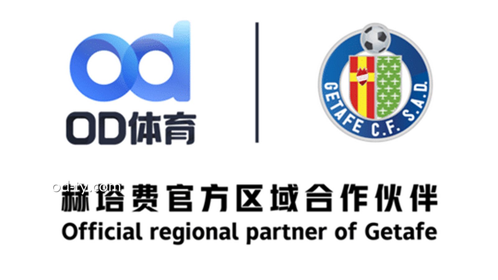 MC体育 | MC体育架构